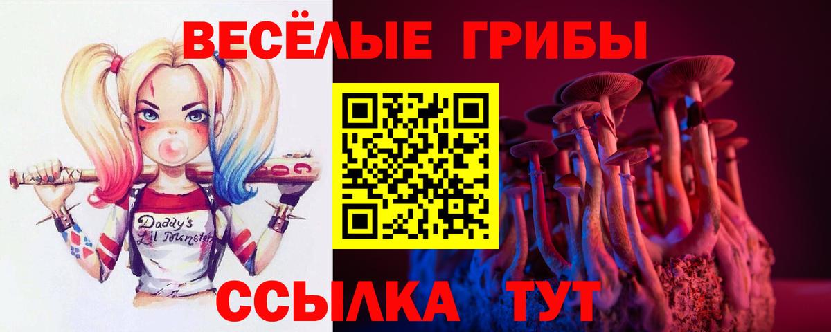 где купить наркоту  Псилоцибиновые грибы мицелий  Вход с VPN  Фурманов 